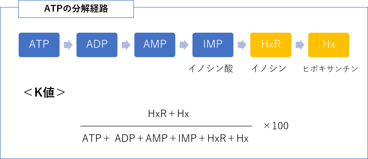 ATPの分解経路、K値