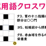 国試クロスワードパズルに挑戦！